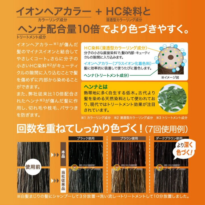 Botani Treatment Black 300g