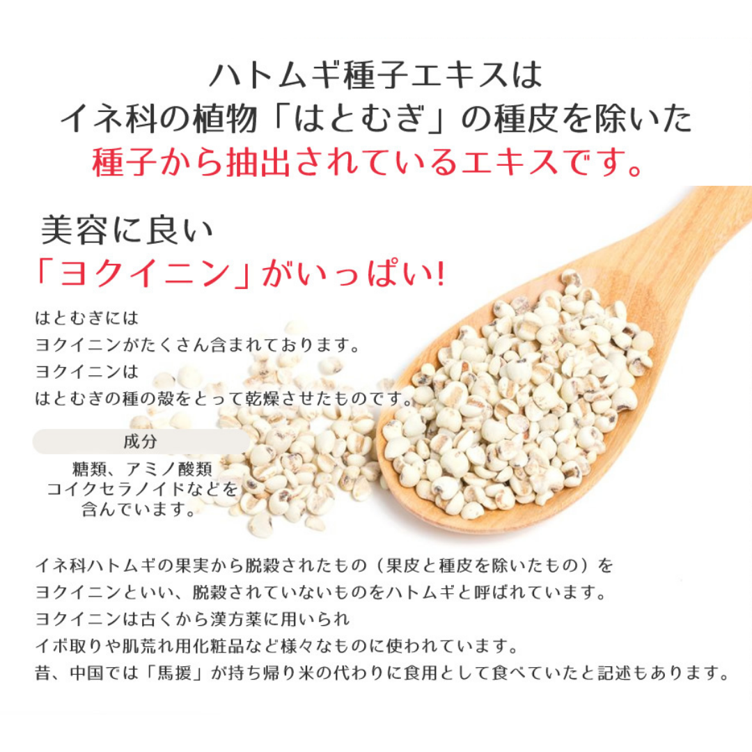 HATOMUGI Kouhoshitsu Body Soap Moist Refill 600ml
